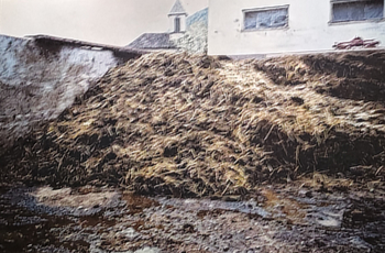 mostra Sant Andrea De Scaphis Rudolf Stinge