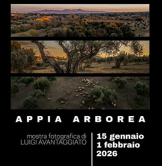 mostra CartieraLatina LuigiAvantaggiato