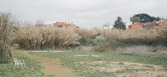 mostra CasaleDeiCedrati Limina