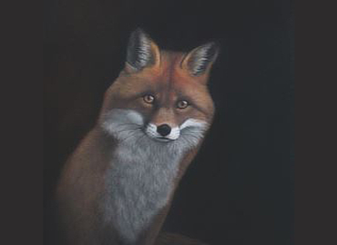 mostra Casale Dei Cedrati Natura Di Notte