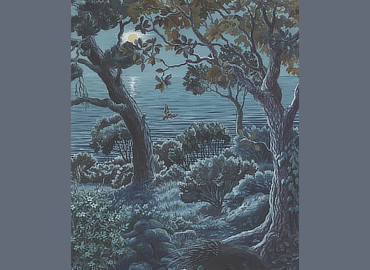 mostra Casale Dei Cedrati Natura Di Notte