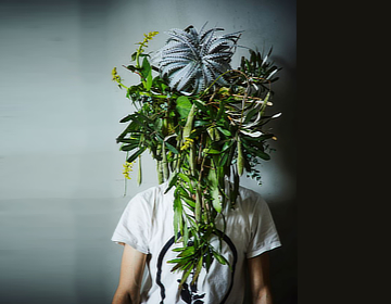 mostra Chiostro Bramante Flowers