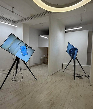 mostra Curva Pura Martin Bertelmann