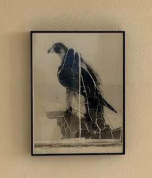 mostra Curva Pura Martin Bertelmann