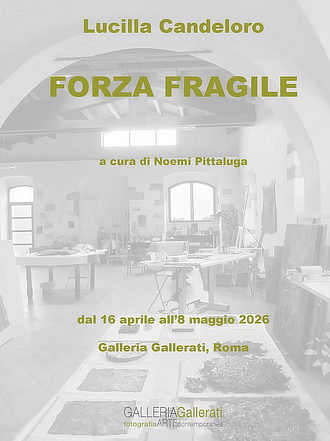 mostra GalleriaGallerati LucillaCandeloro
