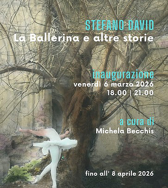 mostra GalleriaGallerati StefanoDavid