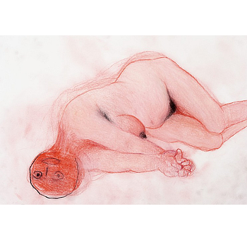 mostra Macro Miriam Cahn