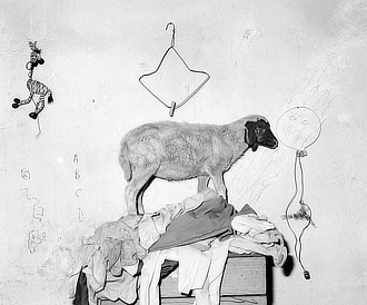 mostra Mattatoio Ballen