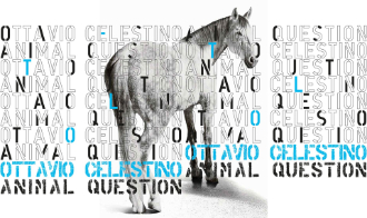 mostra Mattatoio OttavioCelestini