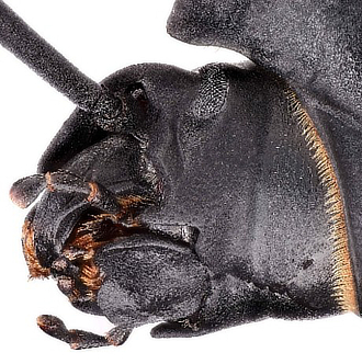 mostra MesiaSpace FrancescoSacco