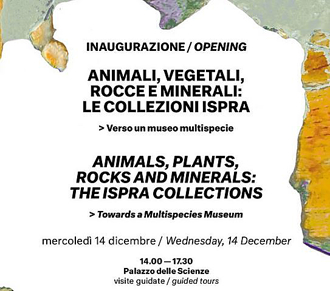 mostra MuseoCivilta AnimaliVegetali