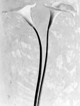 mostra Museo Trastevere Tina Madotti