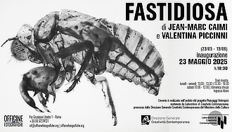 mostra OfficineFotografiche Fastidiosa