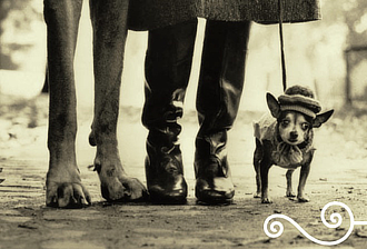 mostra PalazzoBonaparte Erwitt