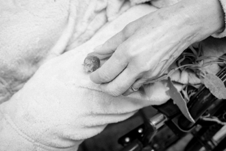 mostra WspPhotography MonicaPittaluga