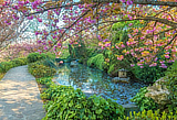 evento OrtoBotanico VisiteGuidate
