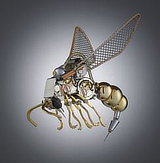 mostra AccademiaUngheria metallomorfosi