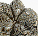 mostra AnnaMarra AndresAnza