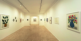 mostra MacMaja SettembreInGalleria