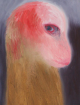 mostra Macro MiriamCahn