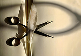 mostra MesiaSpace MicheleMarinaccio