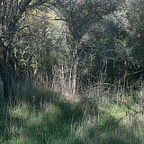 mostra RossoCinabro NatureSpeaks